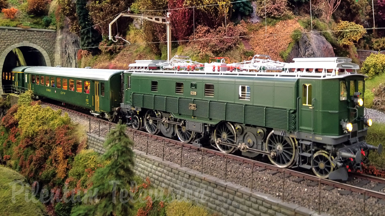 The brand new model railroad layout in gauge 1 (1/32 scale trains) by Leuvense Spooreen Vrienden