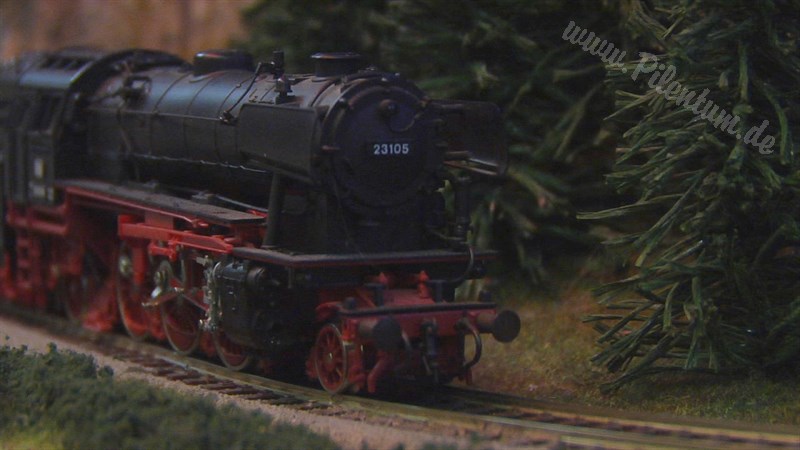 Large Model Railroad Layout with Cab Ride and more than 200 Model Trains in action