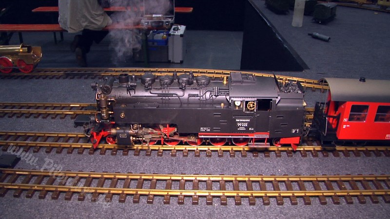 Live Steam and Real Steam Model Train Exhibition