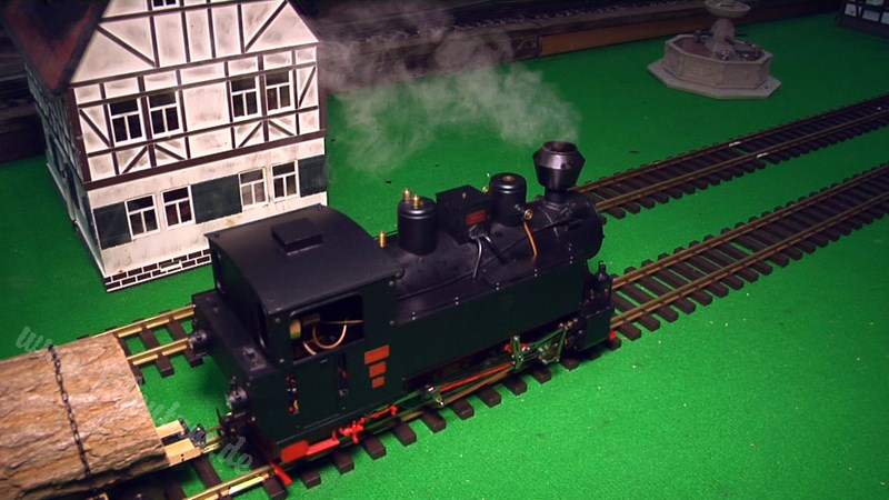 Live Steam and Real Steam Model Train Exhibition