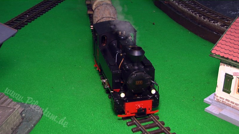 Live Steam and Real Steam Model Train Exhibition