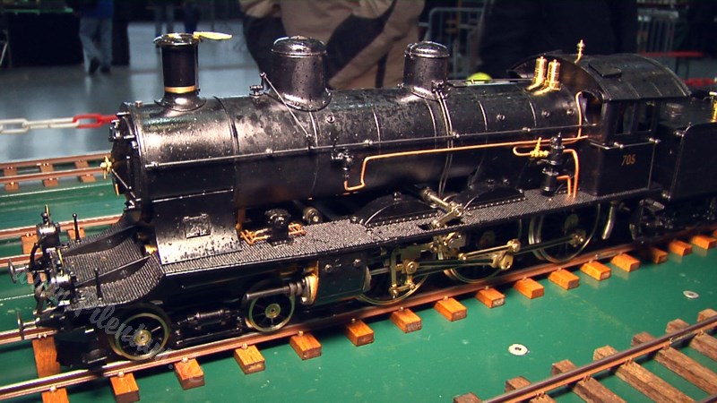 Live Steam and Real Steam Model Train Exhibition