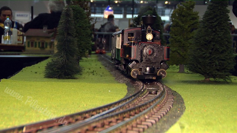 Live Steam and Real Steam Model Train Exhibition