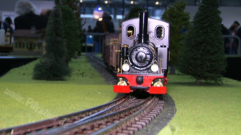 Live Steam and Real Steam Model Train Exhibition