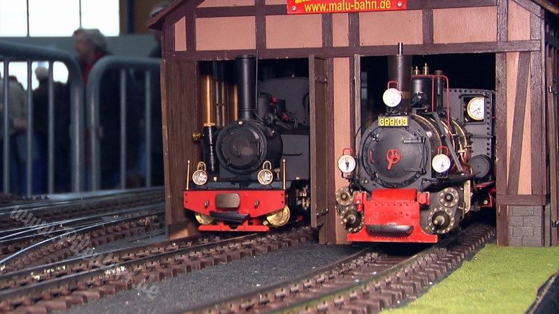 Live Steam and Real Steam Model Train Exhibition