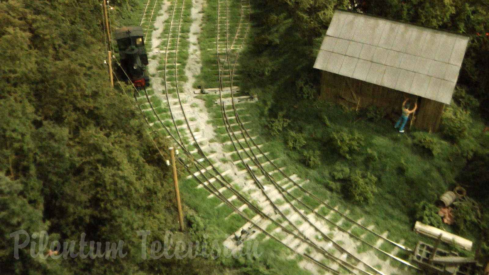 The Funicular Scale Model down in the Romanian Forest