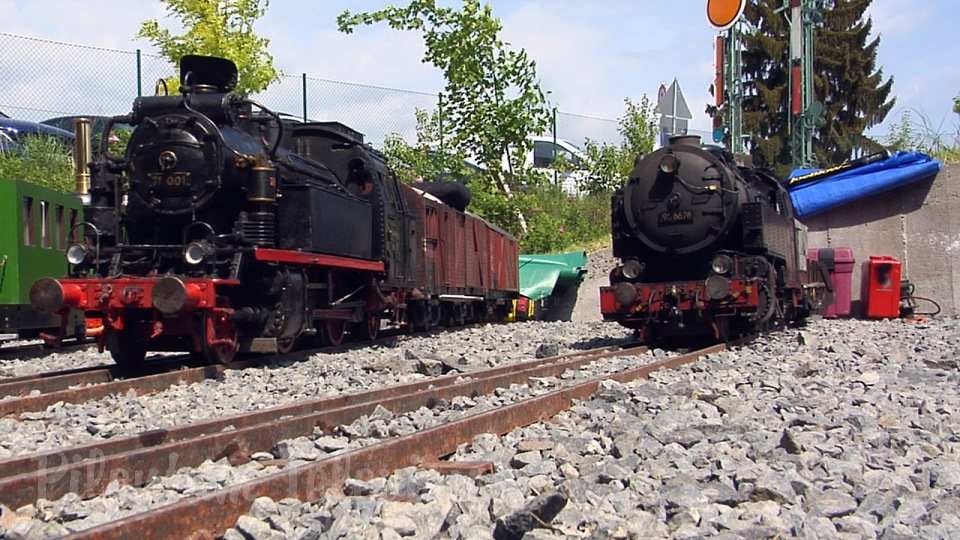 Big Boys and Great Toys: Live Steam Garden Railway and Real Steam Trains on Backyard Railroad