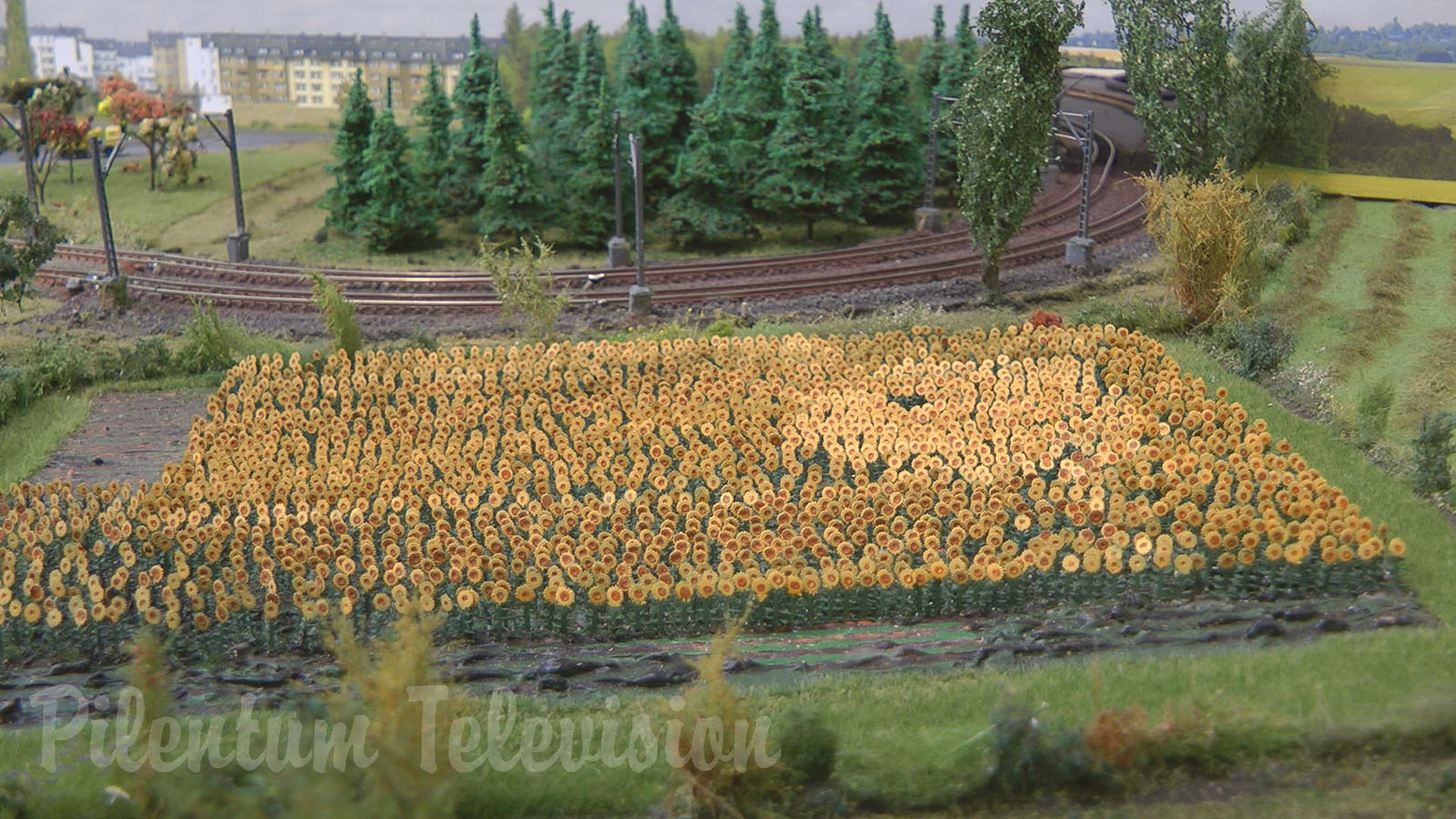 Model Railway with Marklin Model Trains in Z Scale