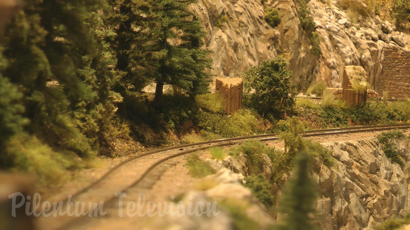 Superb Model Railroad of a Forest Railway on Vancouver Island in Canada in HO Scale