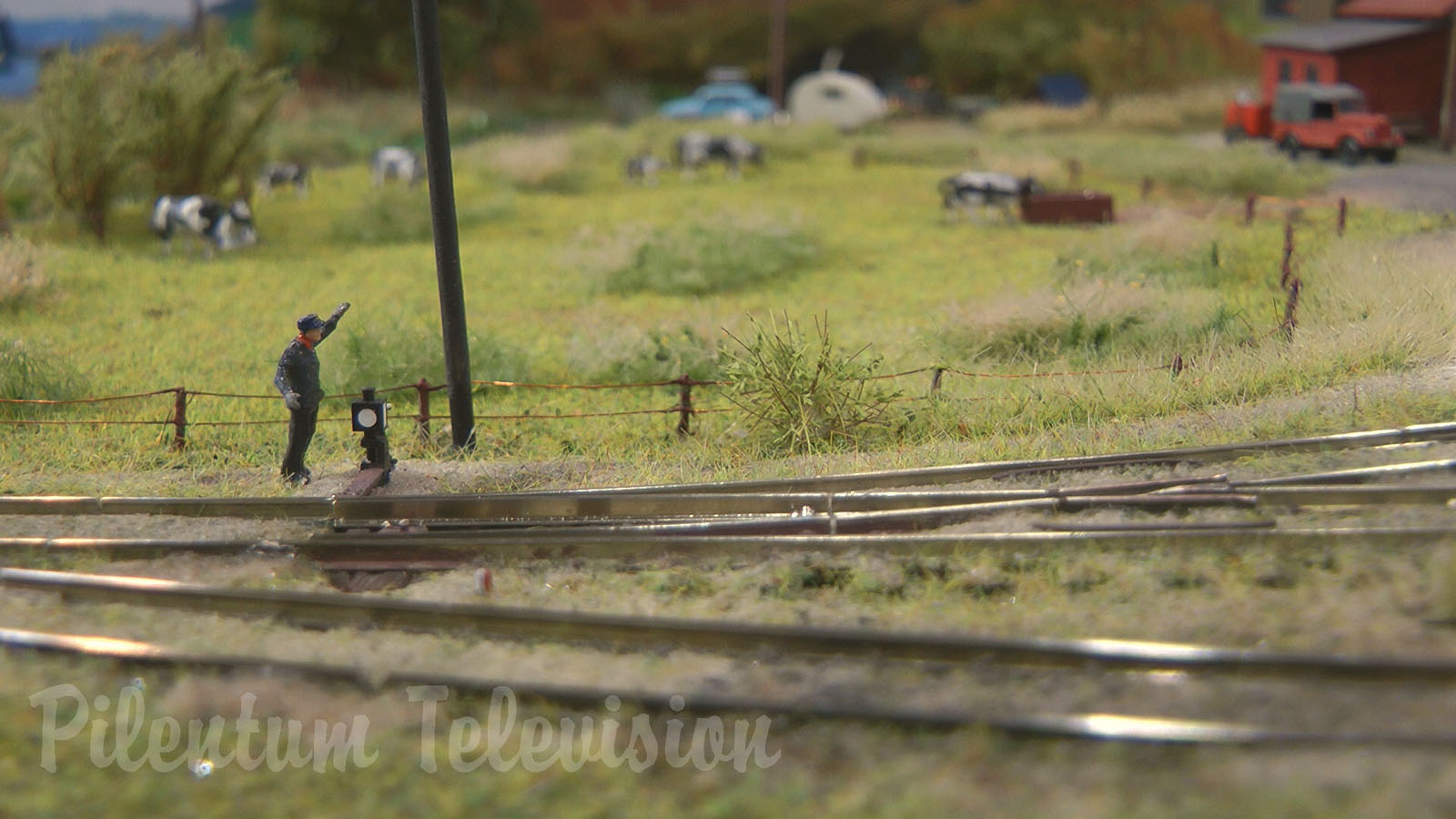 Something very rare: Model railway in TT scale with hand-built steam locomotives of Pomerania