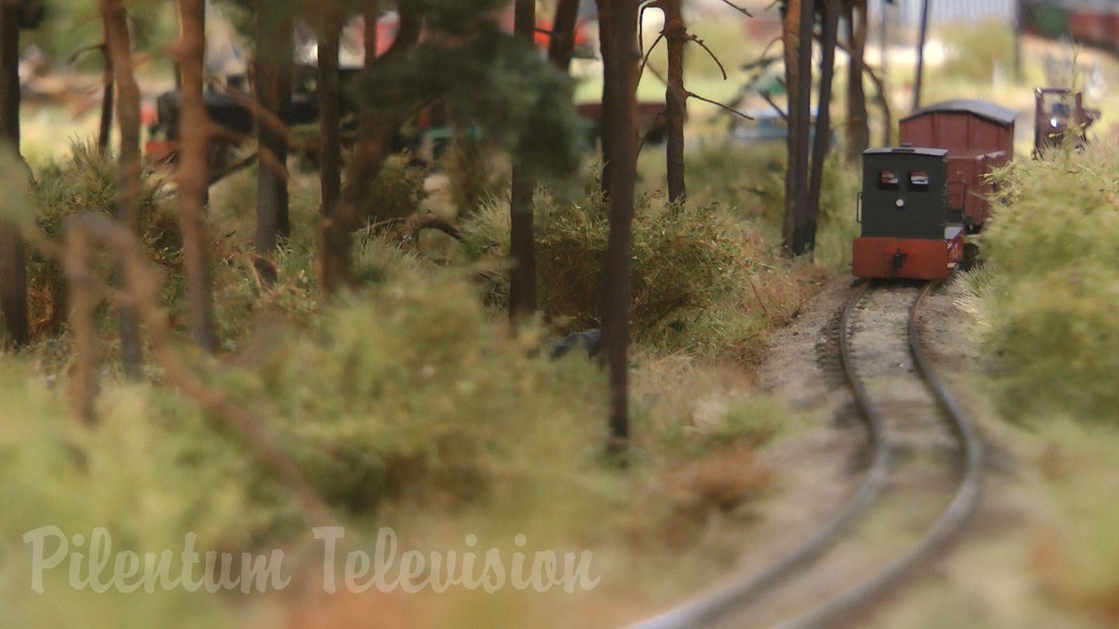 Something very rare: Model railway in TT scale with hand-built steam locomotives of Pomerania