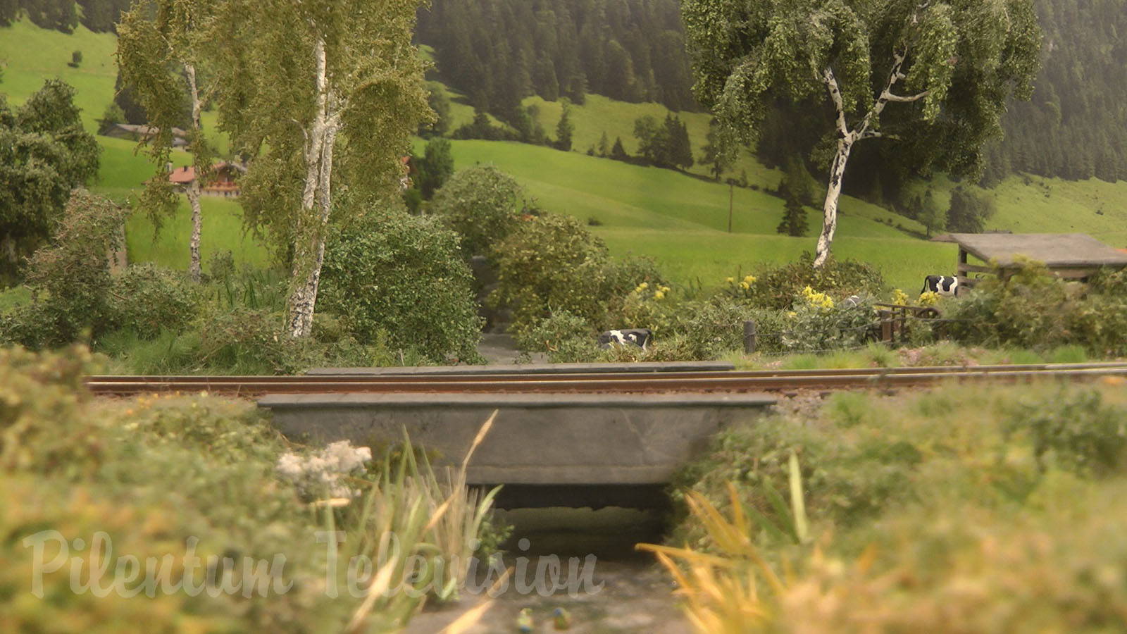 The Magic of Backdrops for Model Railroad Layouts and Backscenes for Model Railways: Narrow-gauge Railway in Salzburg in Austria