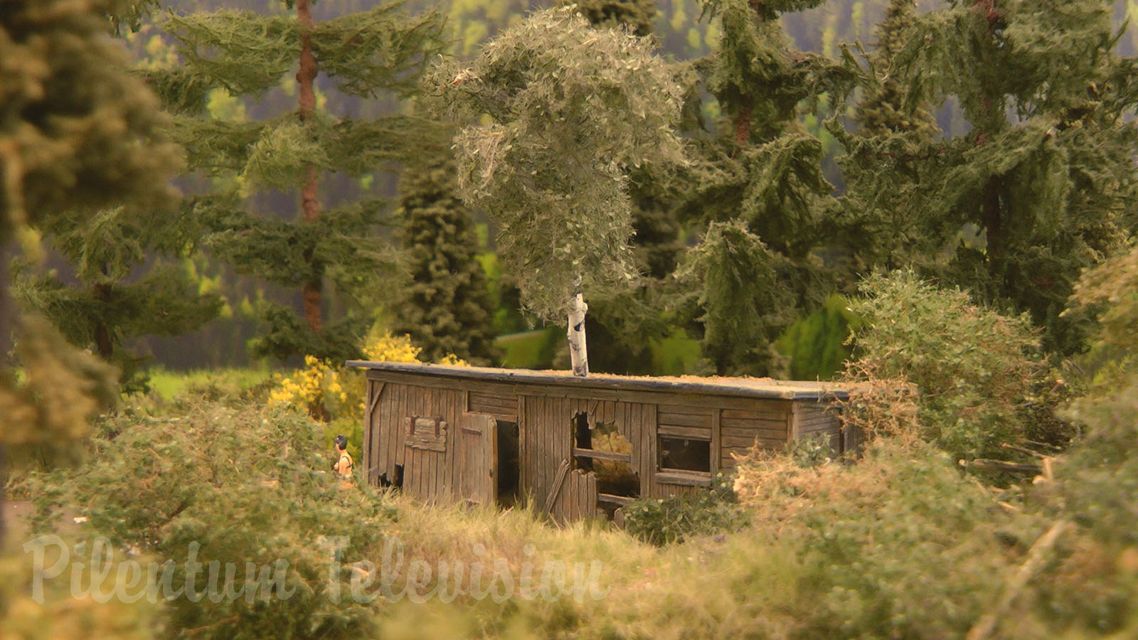 The Magic of Backdrops for Model Railroad Layouts and Backscenes for Model Railways: Narrow-gauge Railway in Salzburg in Austria