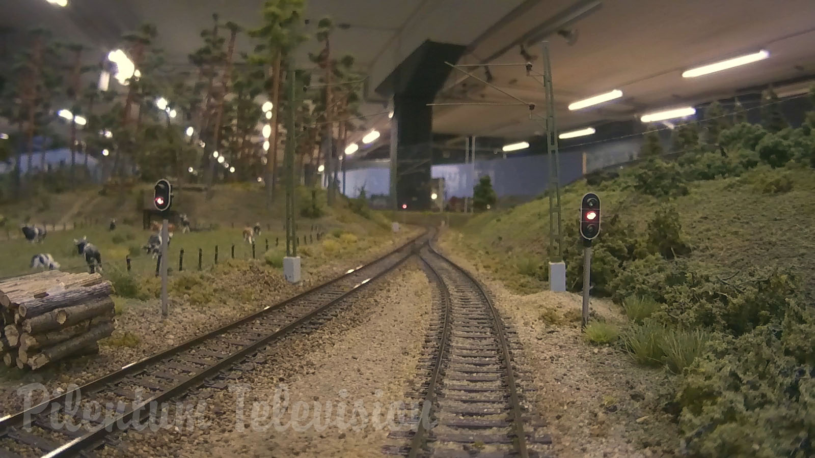 Trains and Scale Modeling - Cab Ride on the largest model railroad in Sweden