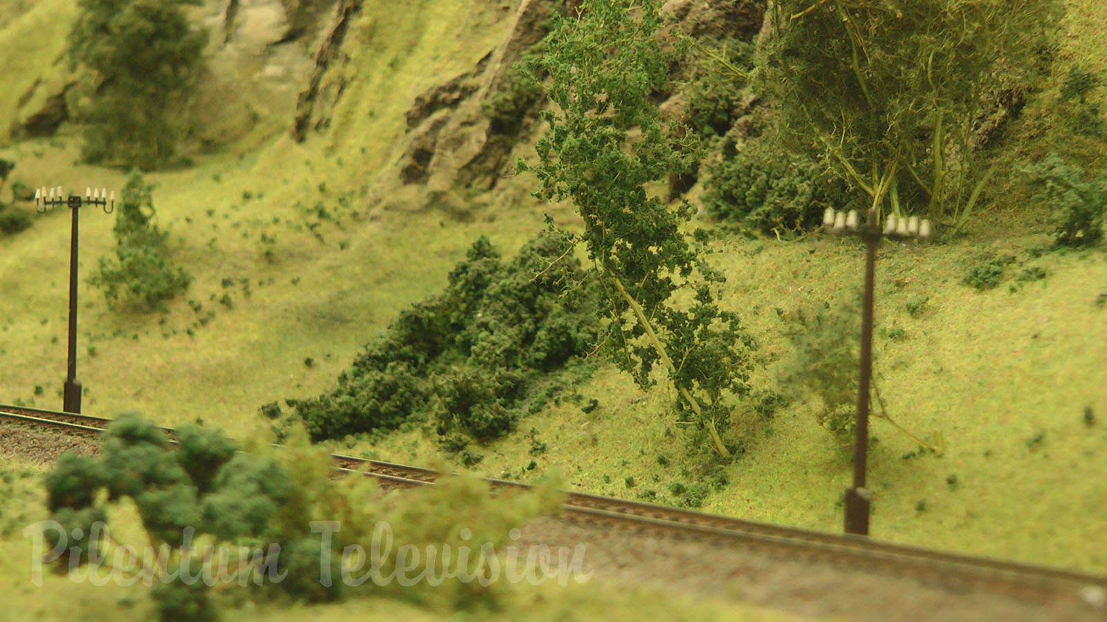 Model Trains on a branch line in a German Village - Rail Modeling in HO scale