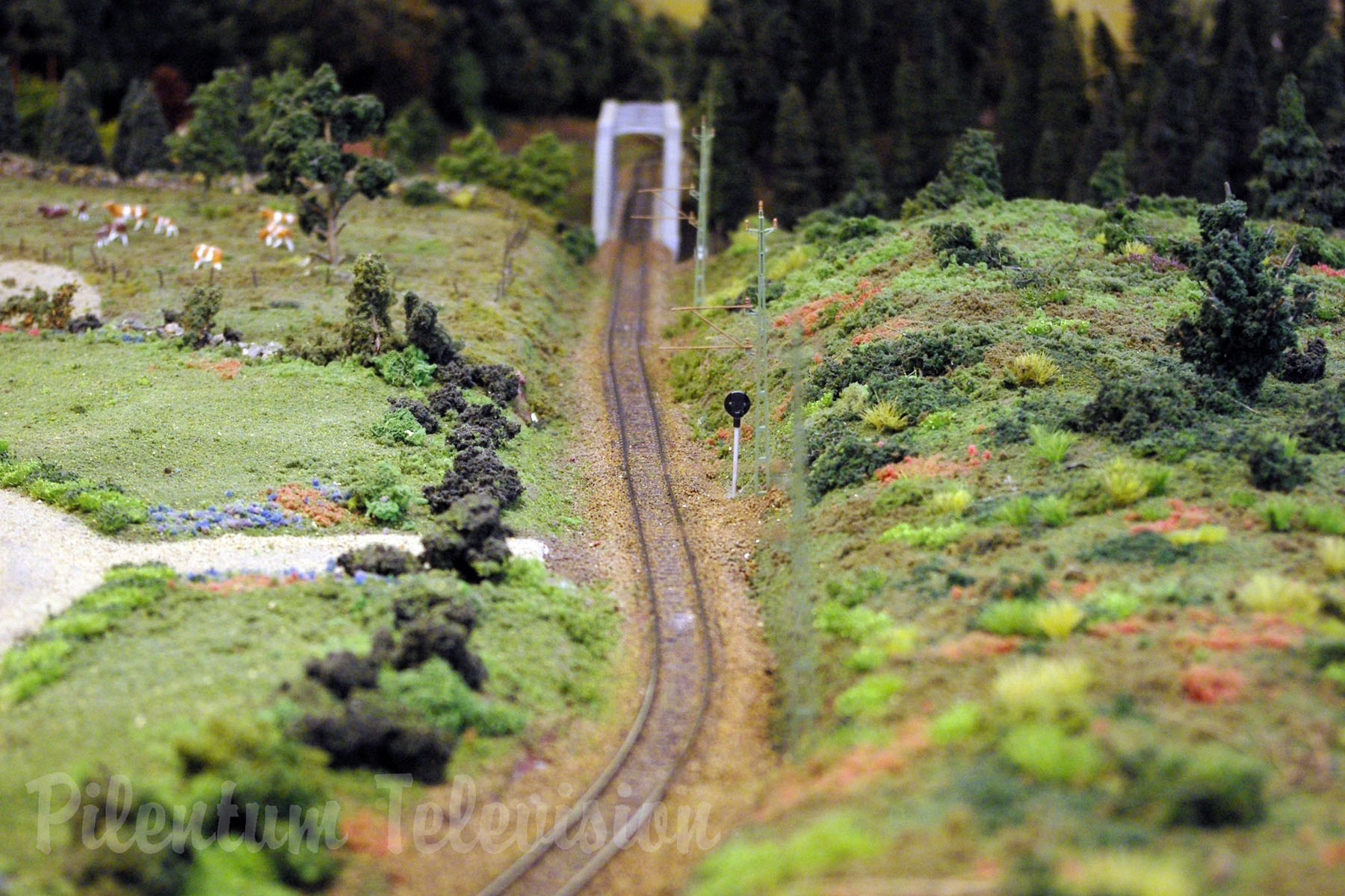 Cab Ride along Sweden’s Largest Model Railway Layout and Fiddle Yards