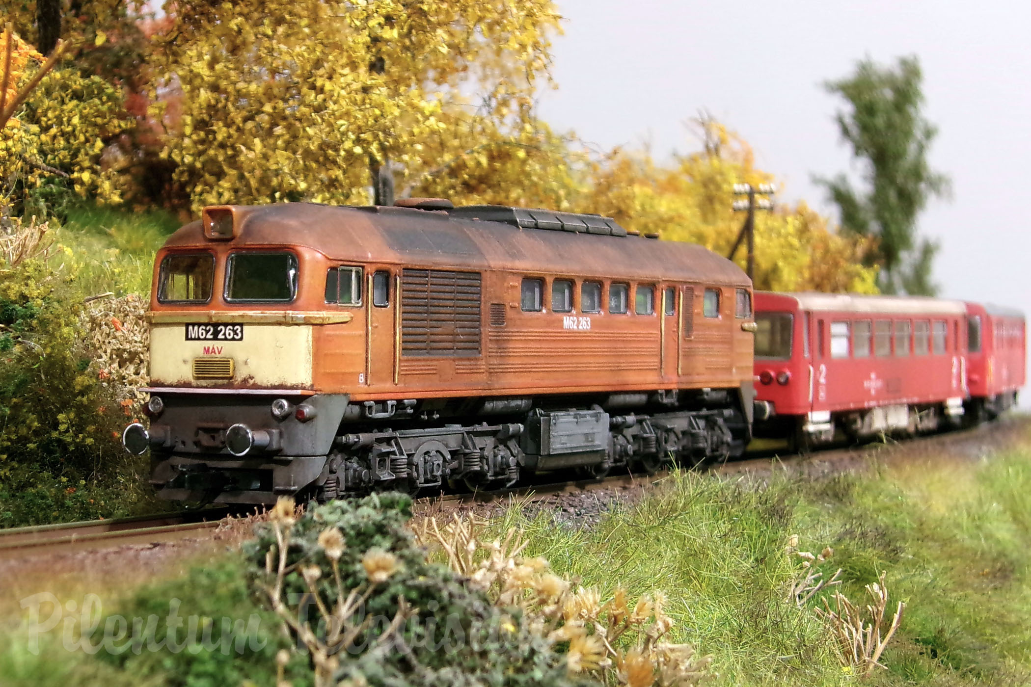 Magyar Modellvasút - One of the most attractive private model railroad layouts in TT scale from Hungary